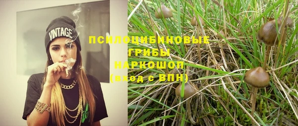 дурь Абинск
